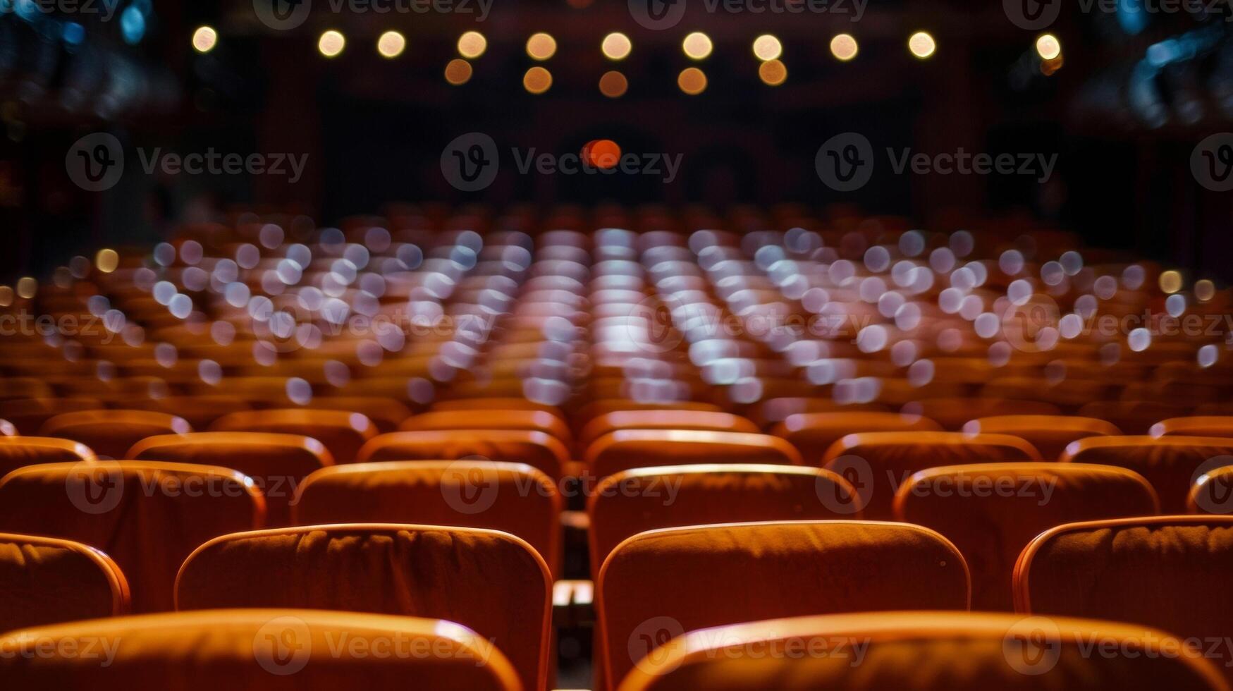 The blurred backdrop of quiet unoccupied seats adds to the poetic silence before the performance leaving one to wonder about the secrets that will soon be revealed on stage. photo