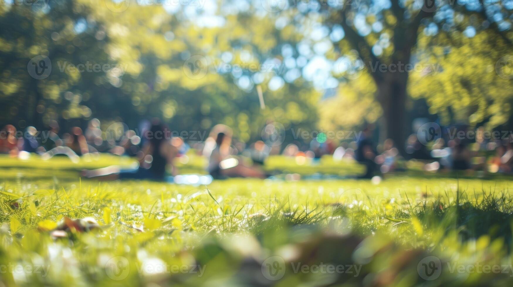 The distant chatter and laughter of a blurred park picnic as people relax and soak up the warm sunny day photo