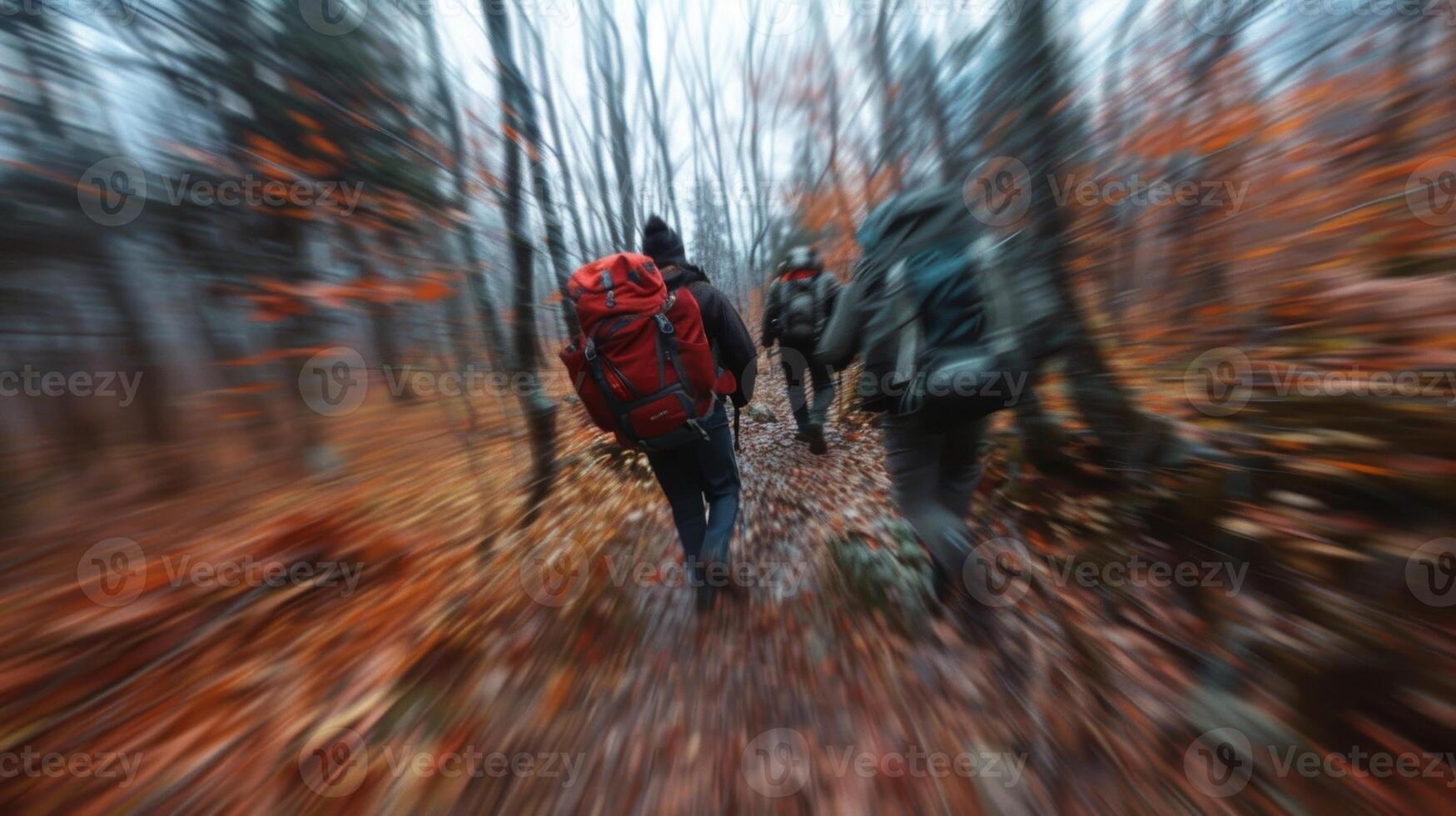 Distorted hikers amidst a sea of tree photo