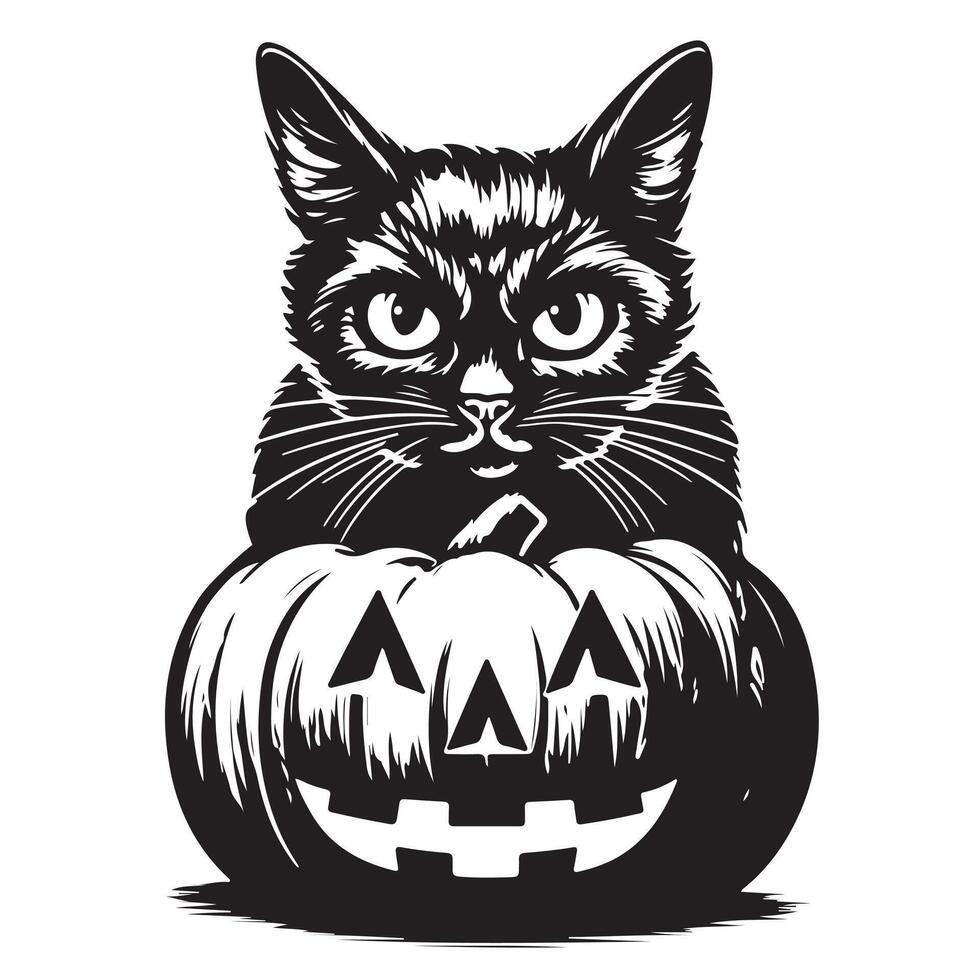 Black cat sitting with halloween pumpkin isolated over white background illustration. vector