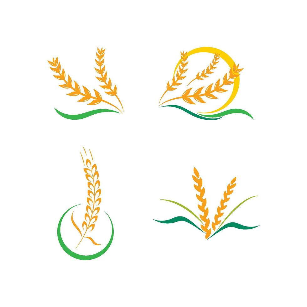 wheat logo template vector