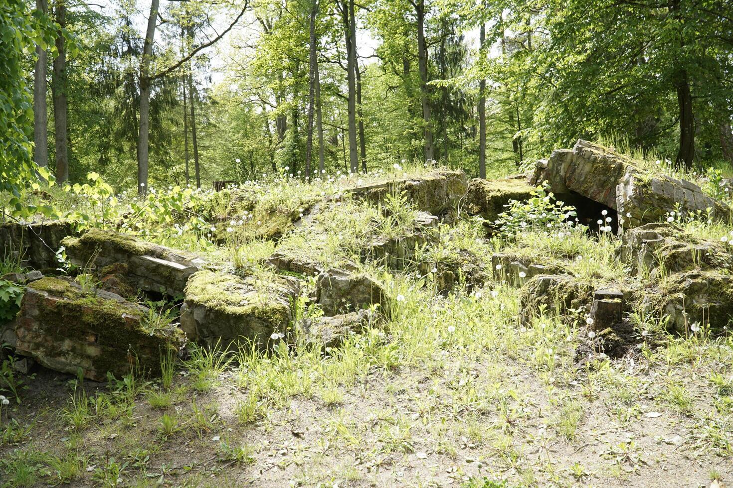 Ketrzyn, Gierloz, Poland - May 11th 2024 - Building remains at Wolf's Liar photo