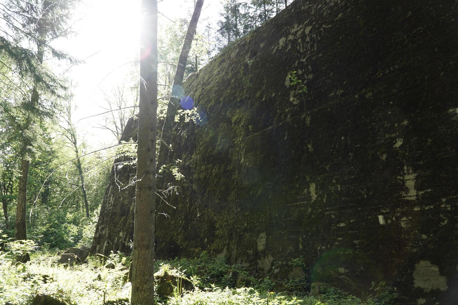 Ketrzyn, Gierloz, Poland - May 11th 2024 - Ruins of a bunker in Wolf's Liar photo