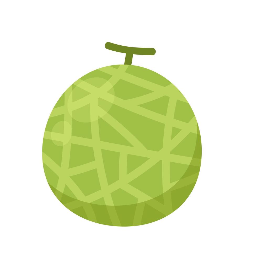 Melon logo . melon on white background. Half melon. vector