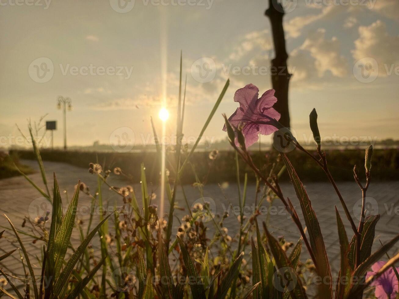 Sunsets and landscapes in and around central Vietnam photo