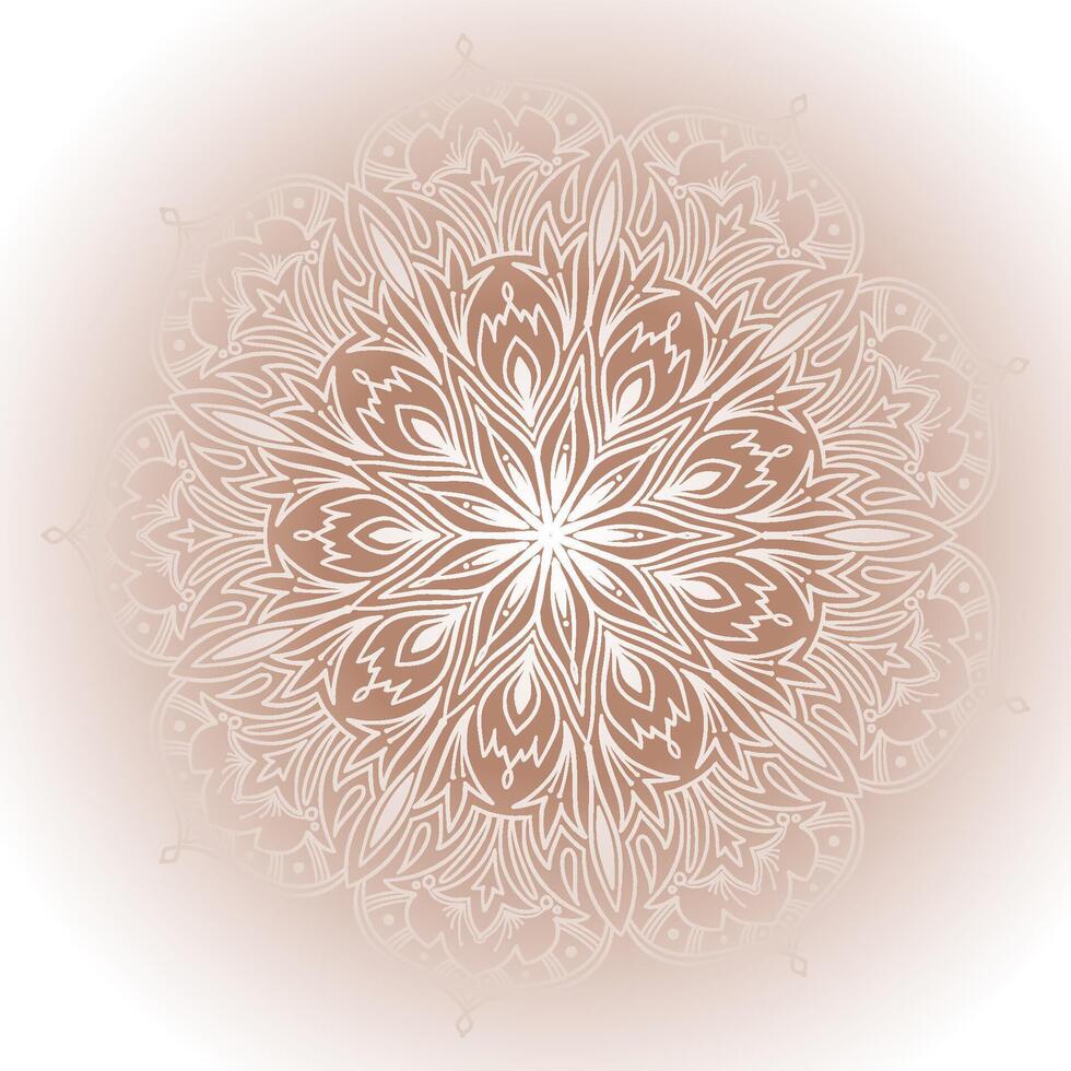 Circular pattern in form of decorative mandala design vector