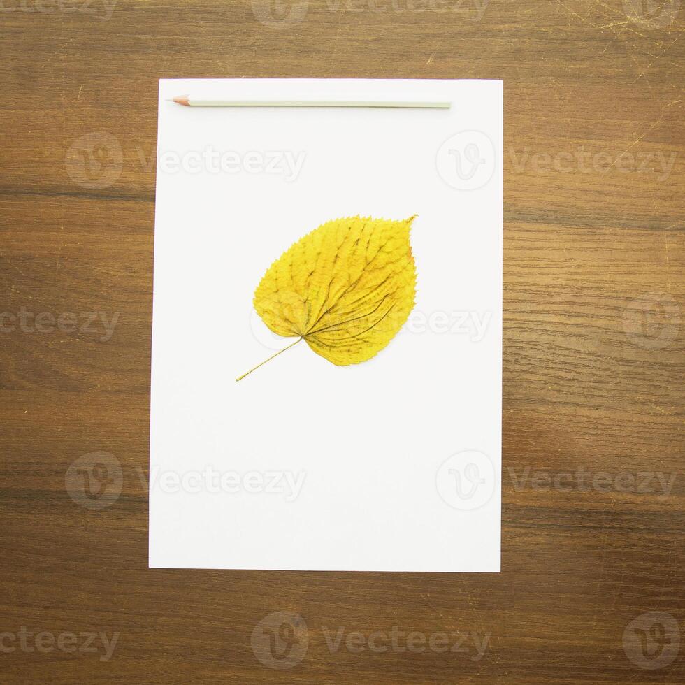 Notebook and pencil on a beautiful background in a large photo studio