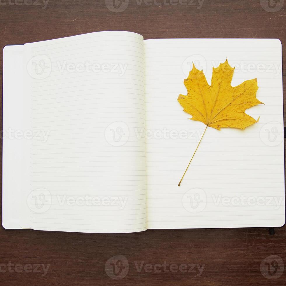 Notebook and pencil on a beautiful background in a large photo studio