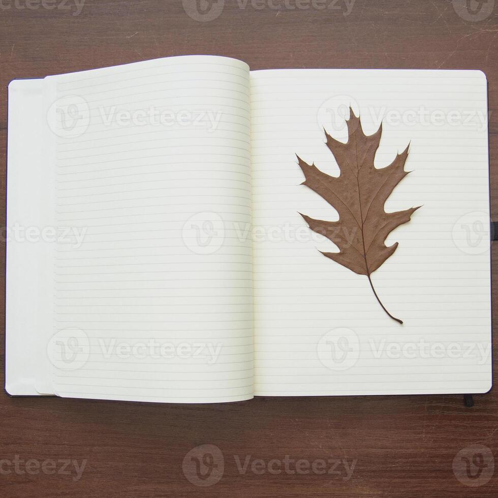 Notebook and pencil on a beautiful background in a large photo studio