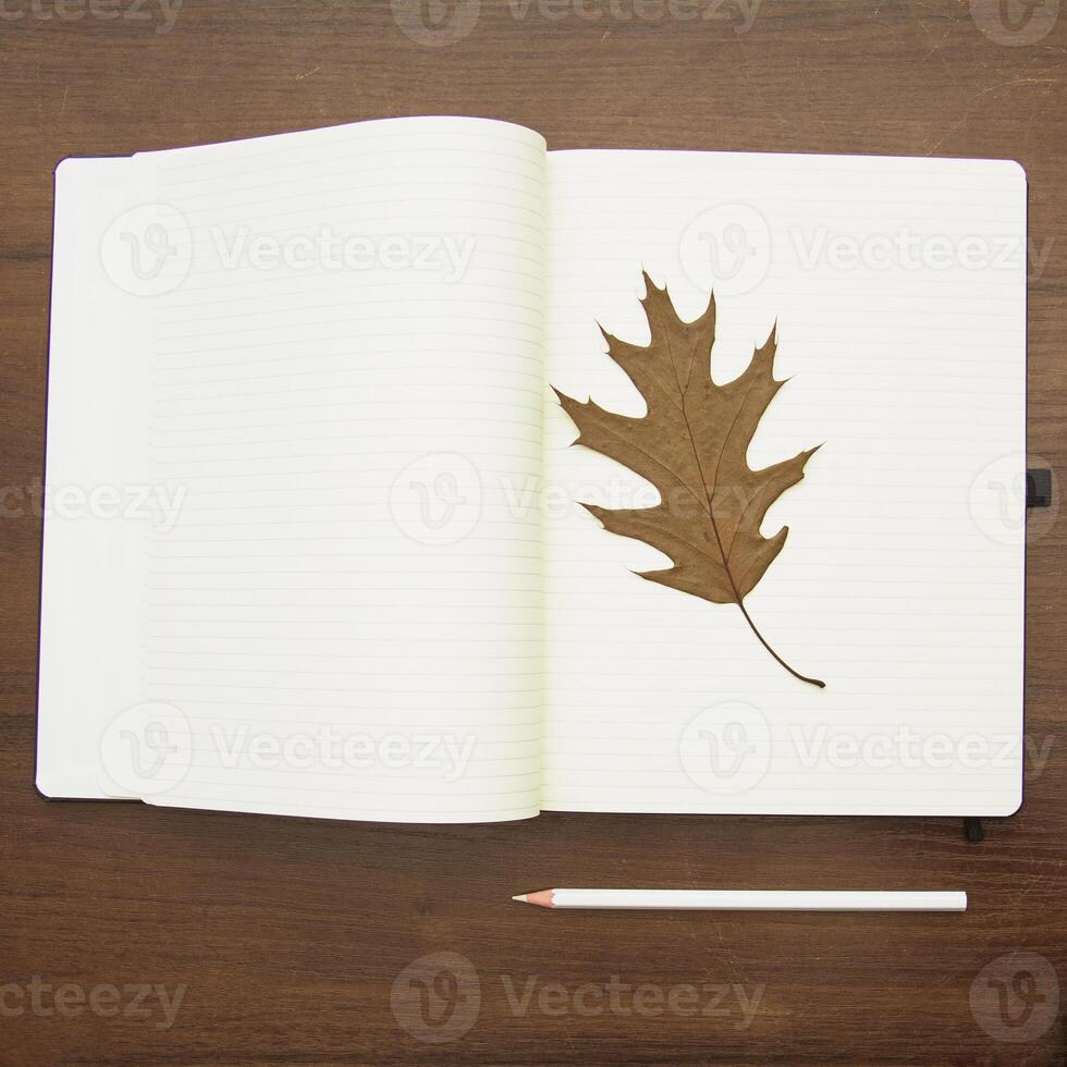 Notebook and pencil on a beautiful background in a large photo studio