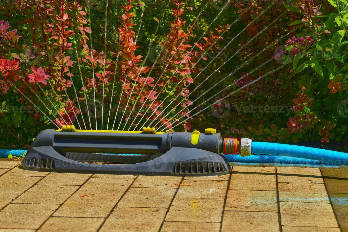 Irrigation system. Gardening,landscaping. Sprinkler watering flowers, hot day photo
