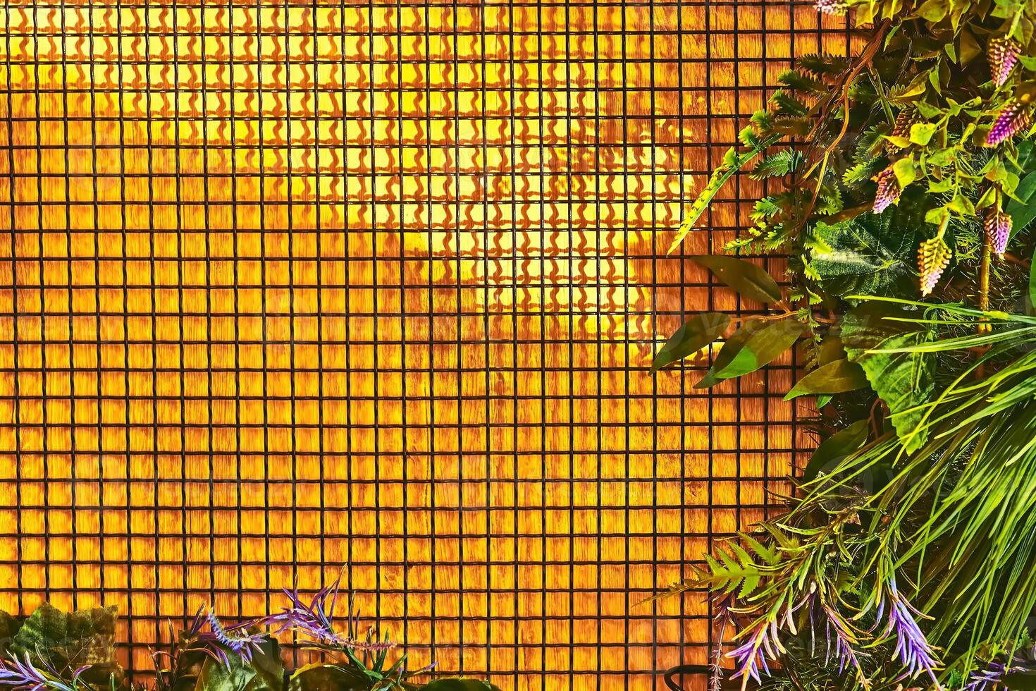 Yellow sunny wooden wall background with cells,green vegetation photo