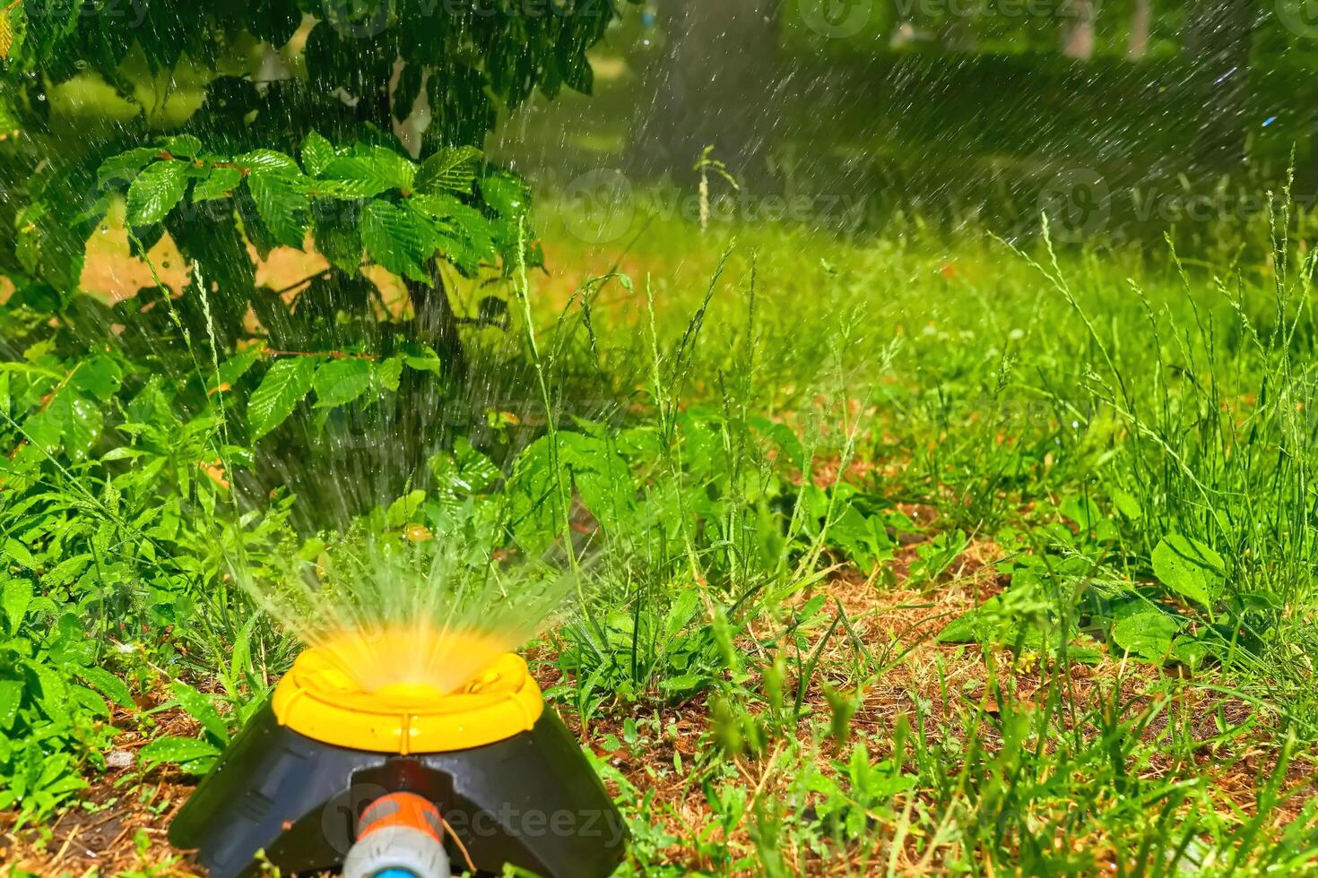 Gardening,landscaping. Sprinkler watering flowers, hot day, Irrigation system photo