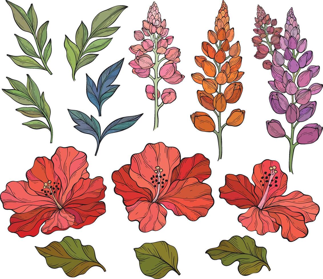 Set with lupins, hibiscus and leaves. floral pattern with green leaves and lupines flowers. vector