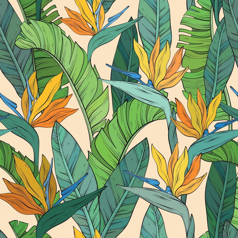 Seamless pattern with tropical bird of paradise flowers and leaves of Strelitzia Reginae. Hand drawn vector