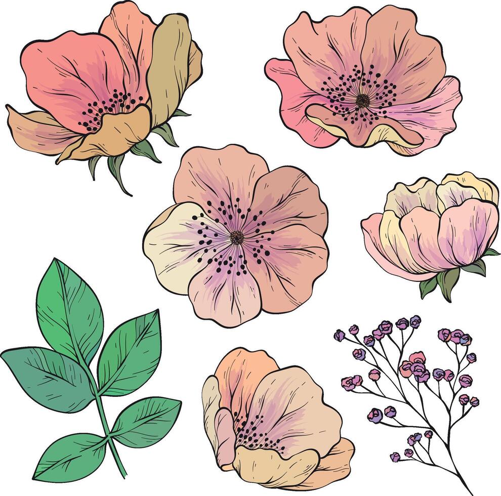 Hand drawn flowers. set of design elements for fabric, textile, wallpaper prints vector