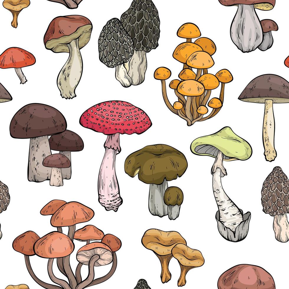 Seamless pattern with different mushrooms, graphic drawing, cut truffle, porcini mushroom, shiitake and chanterelles vector