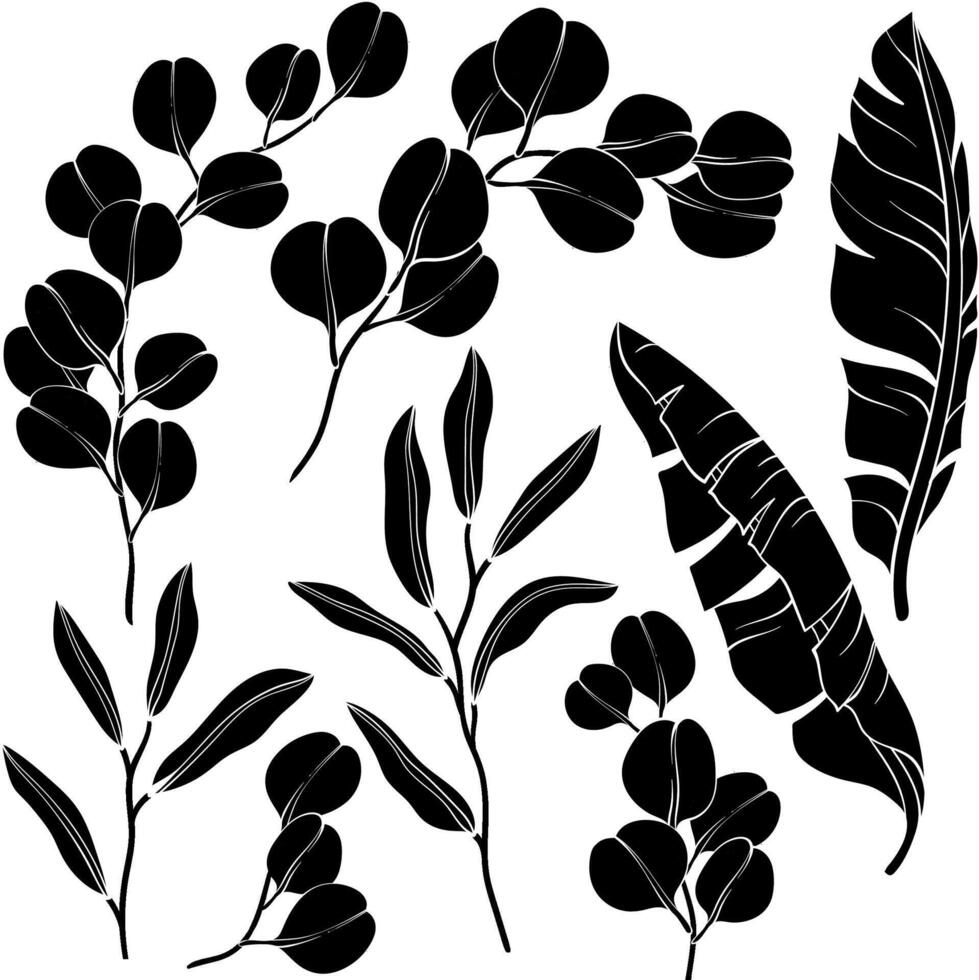 Eucalyptus and banana leaves and twigs silhouette set vector