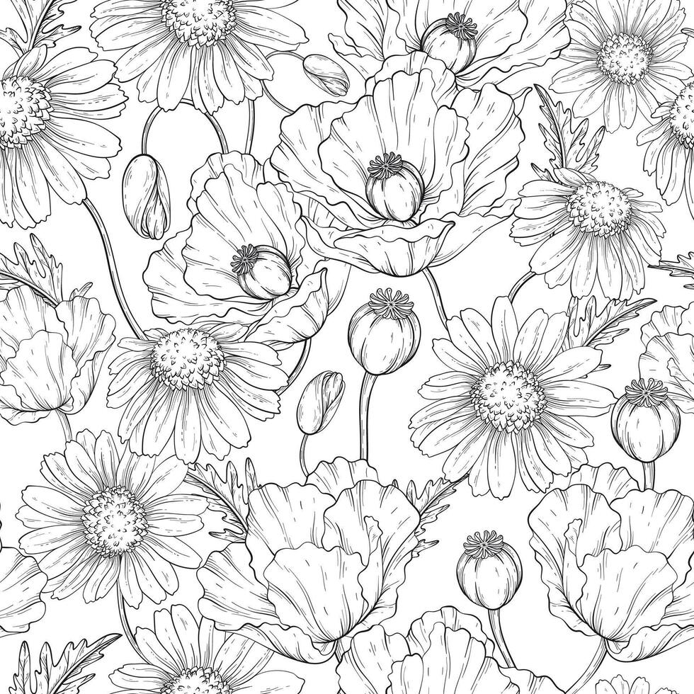 Seamless outline pattern with wildflowers poppy and chamomile, floral background. vector