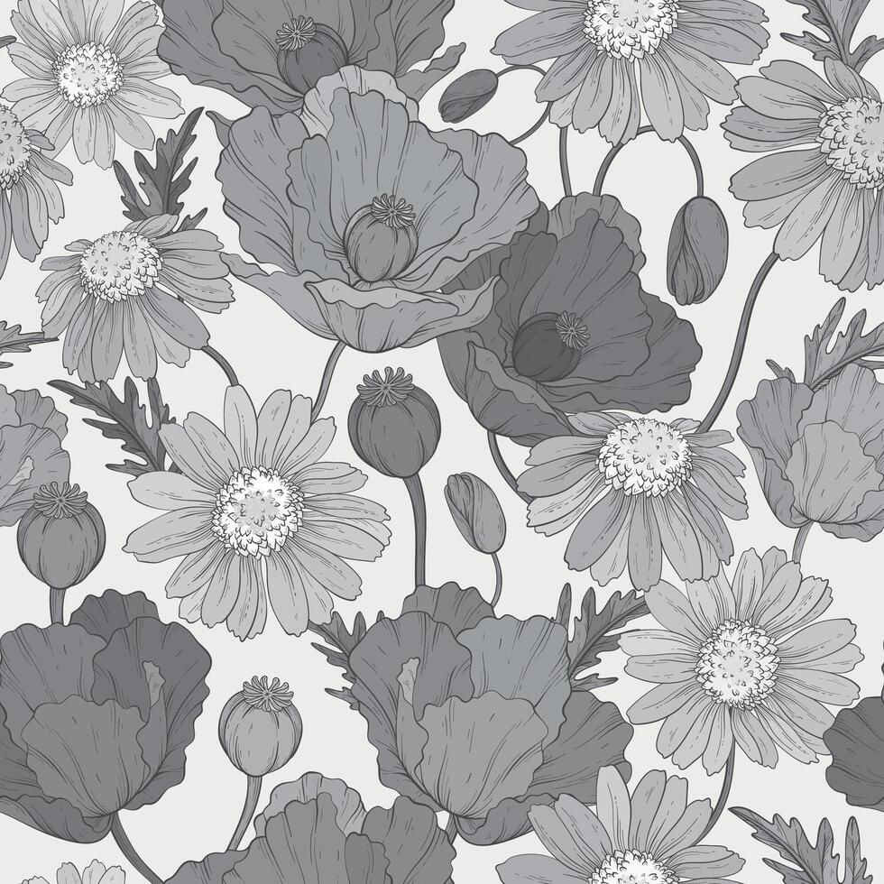 Seamless monochrome pattern with wildflowers poppy and chamomile, floral background. vector
