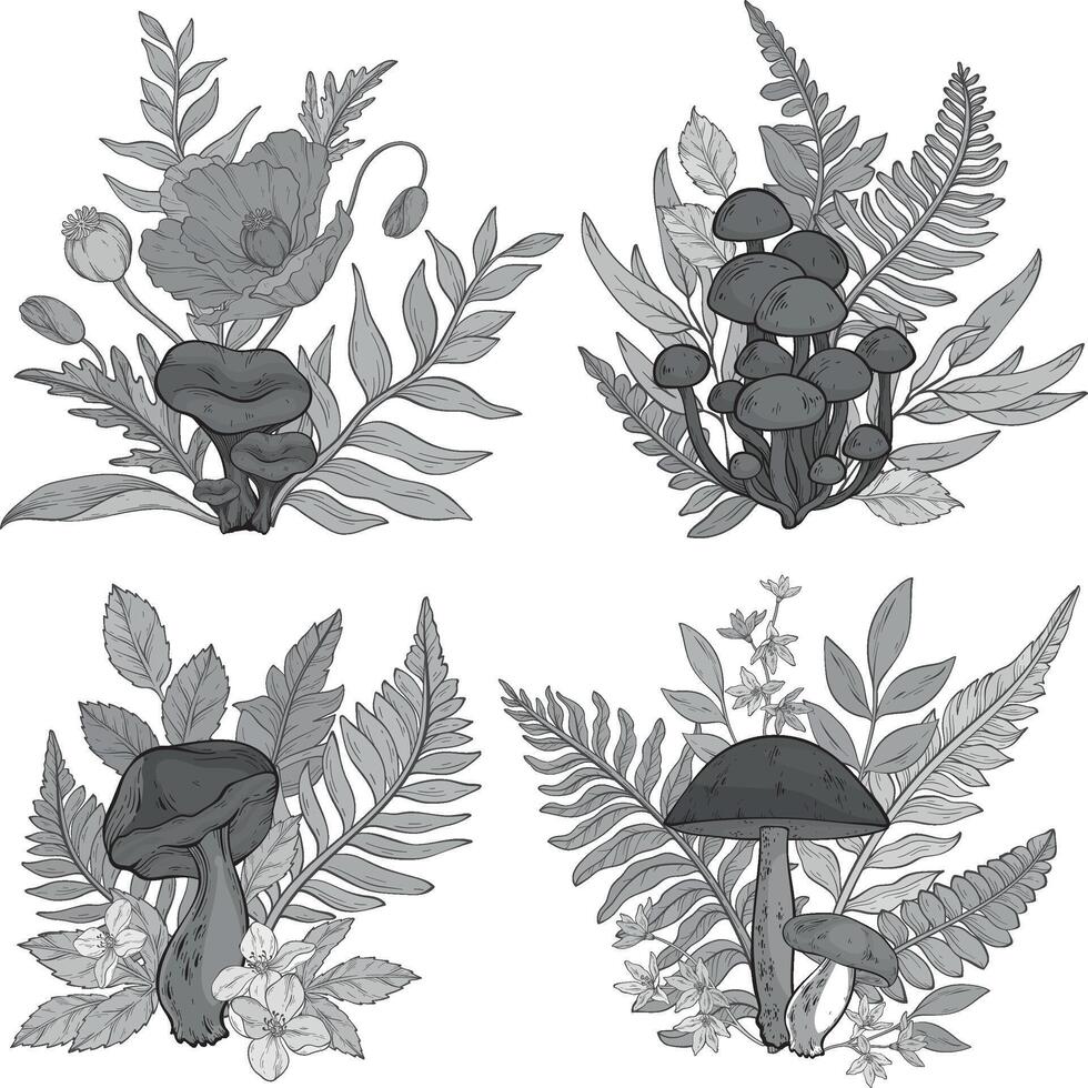 Set of monochrome mushrooms, flowers and berries, ferns. vector