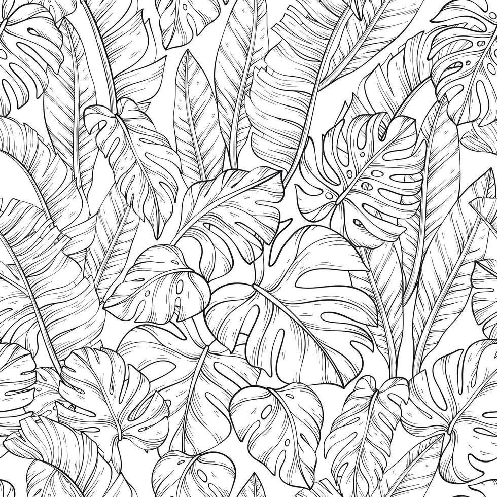 Seamless pattern with outline leafs of monstera vector