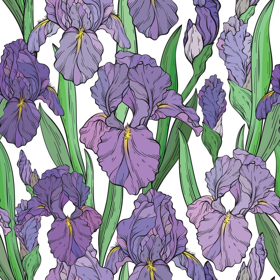 Seamless pattern with iris flowers. vector