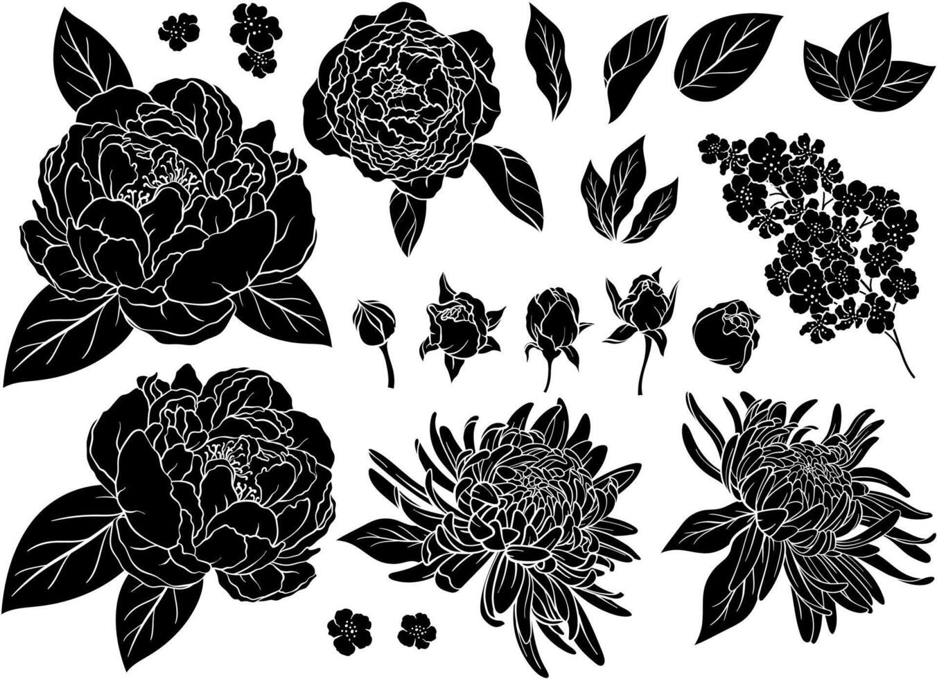Set of silhouettes of roses, peonies, asters vector
