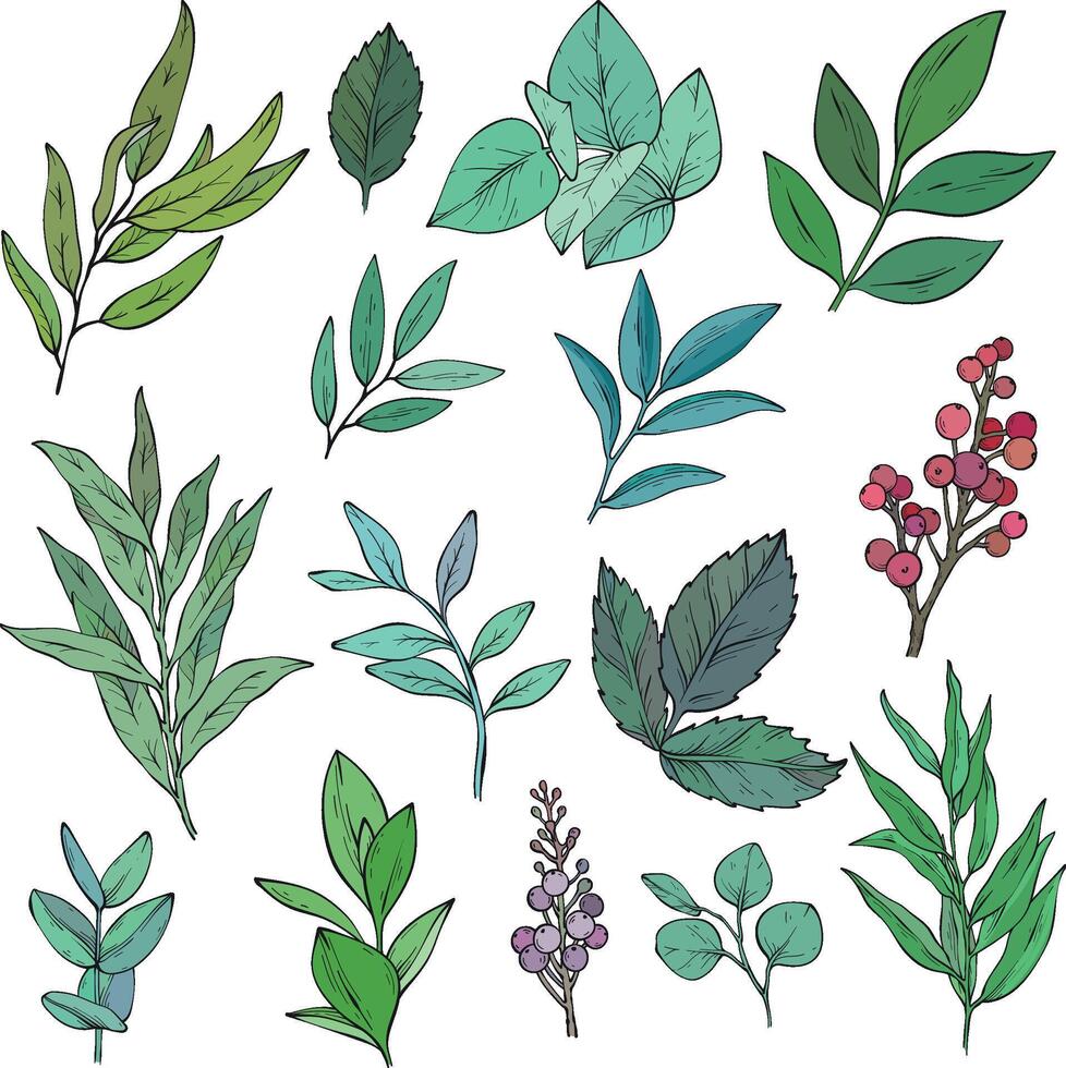 Set of different branches with leaves, red berries isolated on a white background. vector