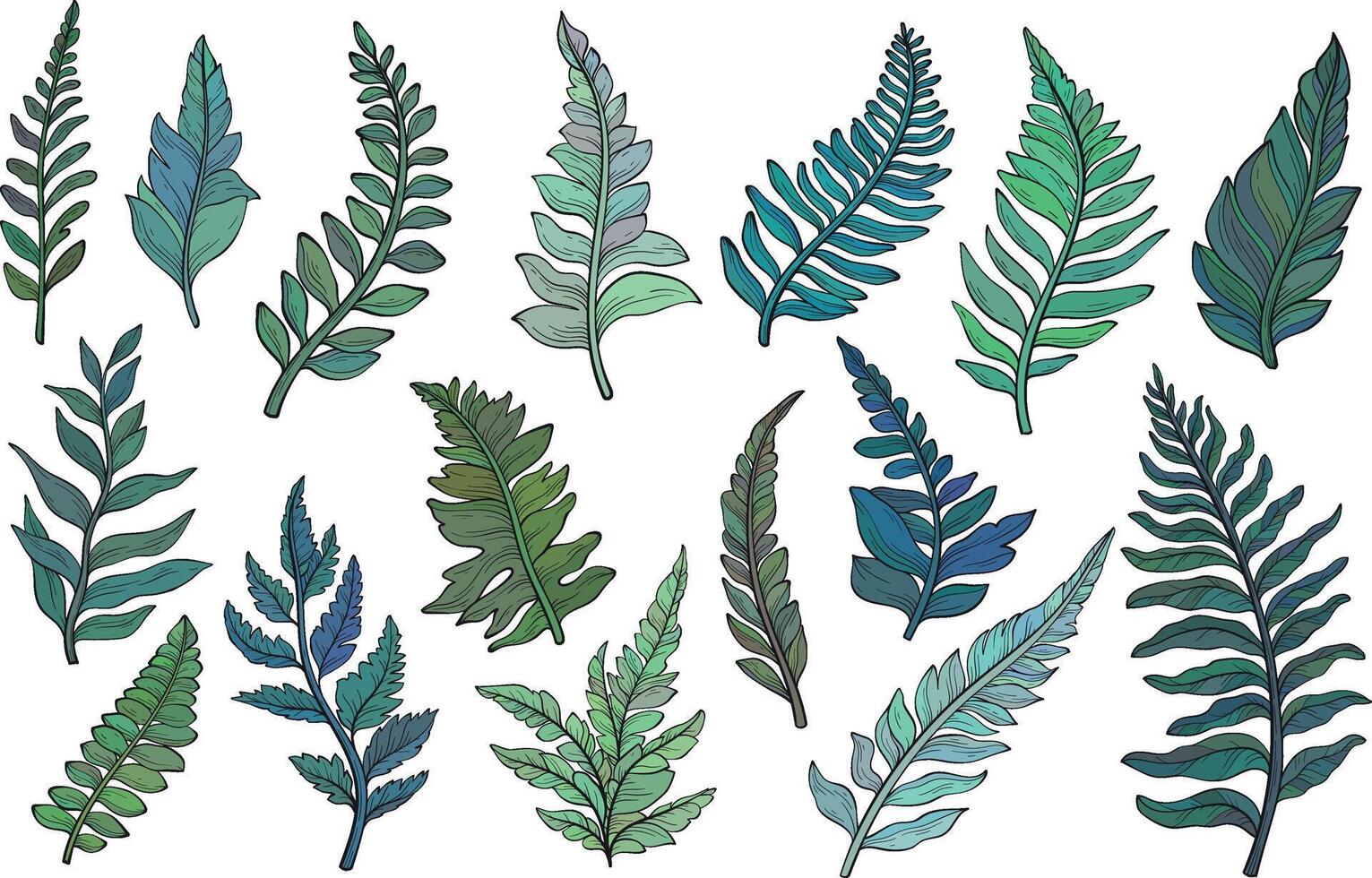 Graphic set of wild forest plants, leaves and young ferns vector