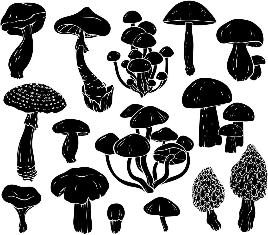 Set of different mushroom silhouettes, graphic drawing with lines, black and white cut truffle, porcini mushroom, shiitake and chanterelles isolated vector