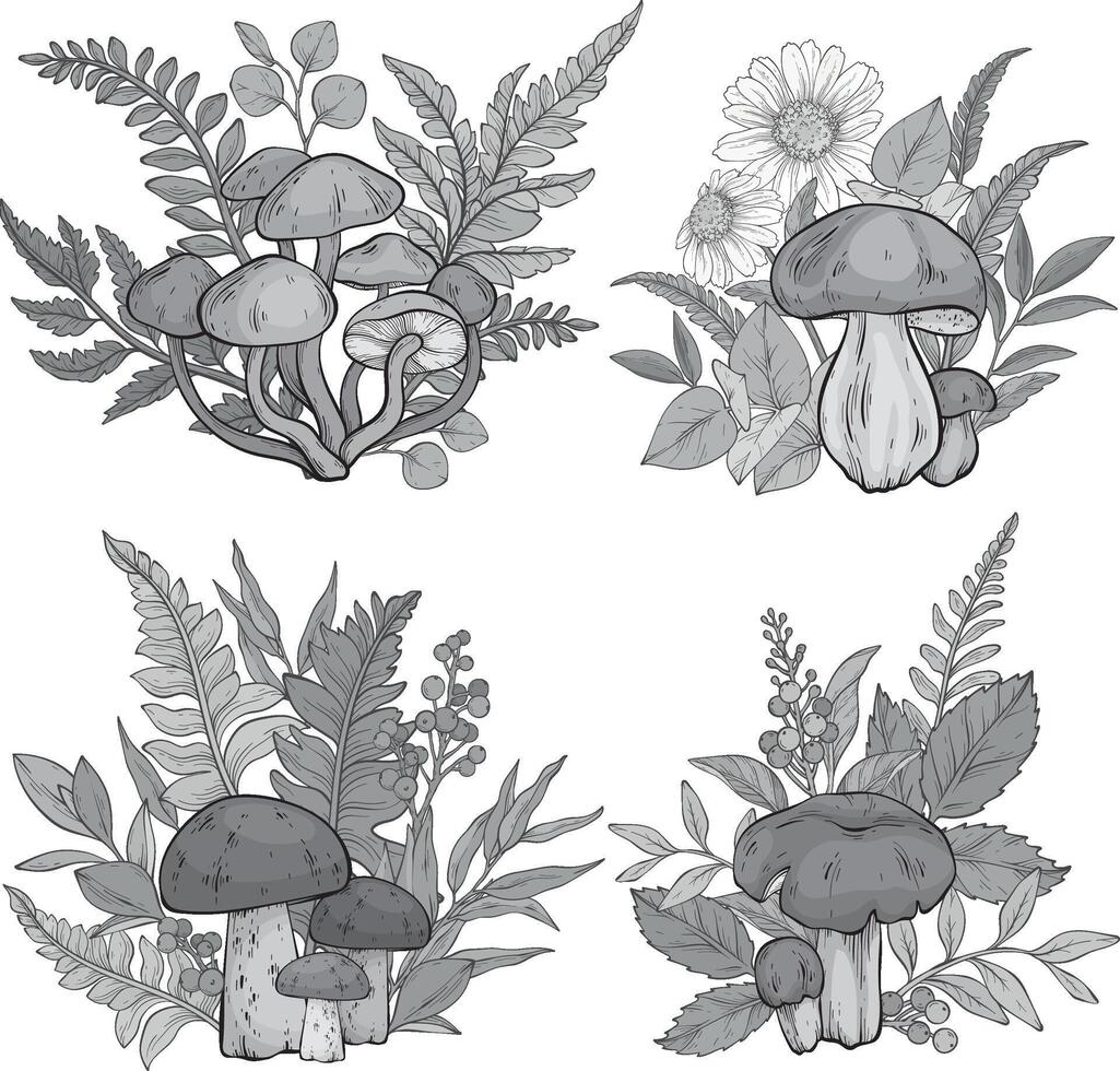 Set of different types of mushrooms, grass and berries, ferns. monochrome illustration vector