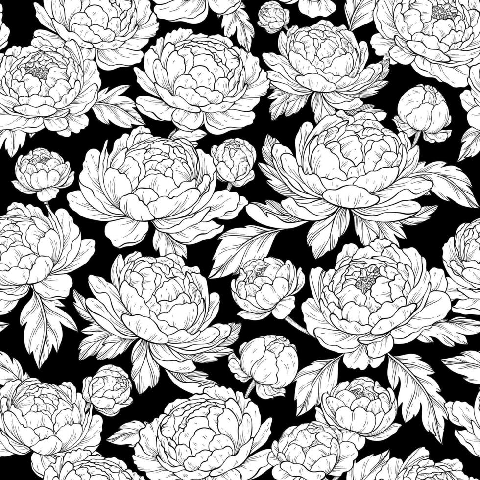Seamless pattern with outline peony flowers, black background. Botany. vector