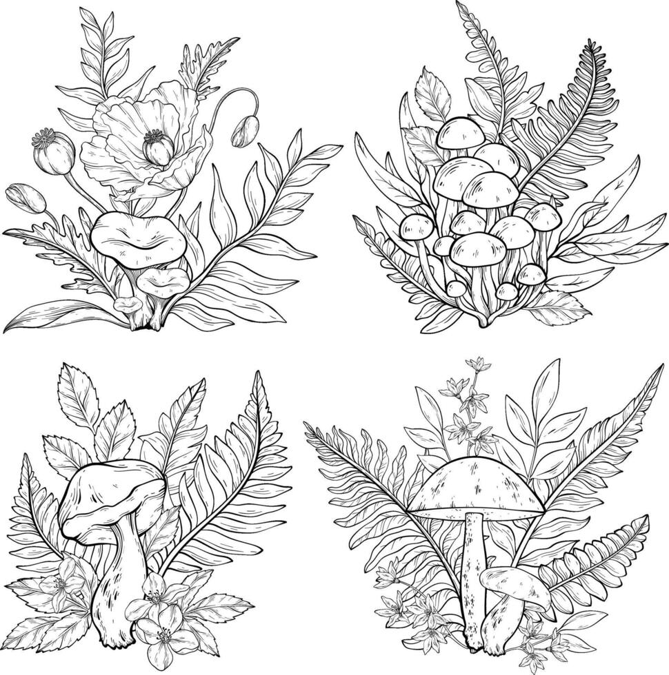 Outline mushrooms, poppy, flowers, grass and berries, ferns. vector