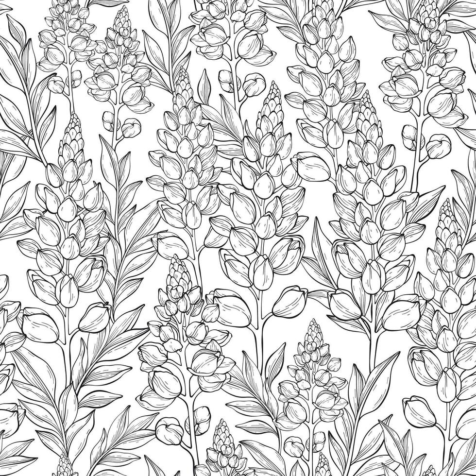 Seamless pattern with outline lupin flowers and leaves. floral pattern with leaves and lupines flowers. vector
