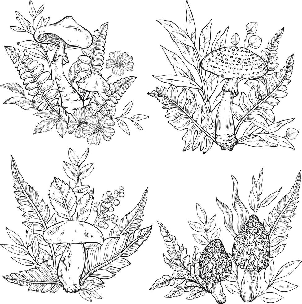 Outline Set of different types of mushrooms, grass and berries, ferns. vector