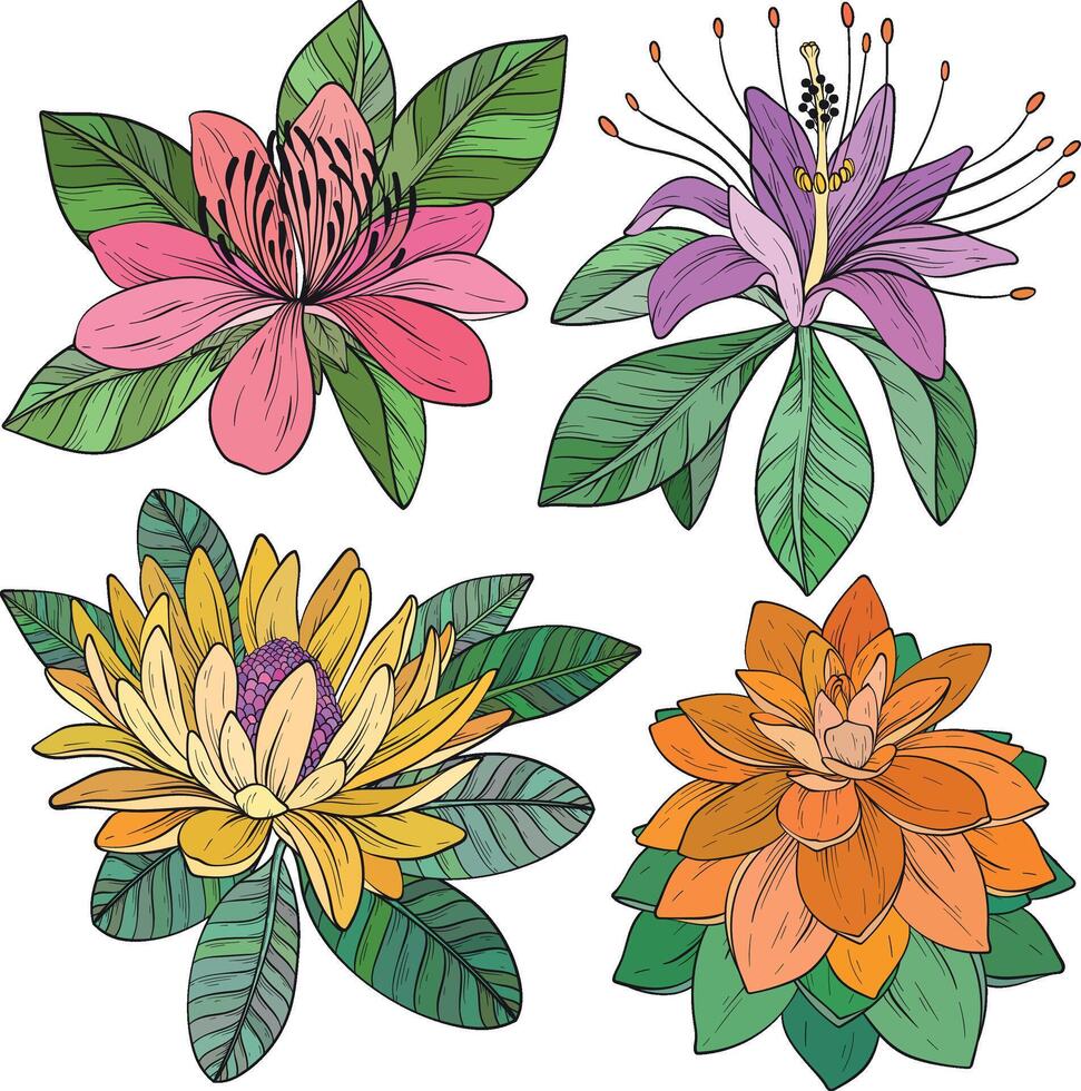 Tropical flowers and leaves. exotic set, floral elements isolated, Hawaiian plants vector