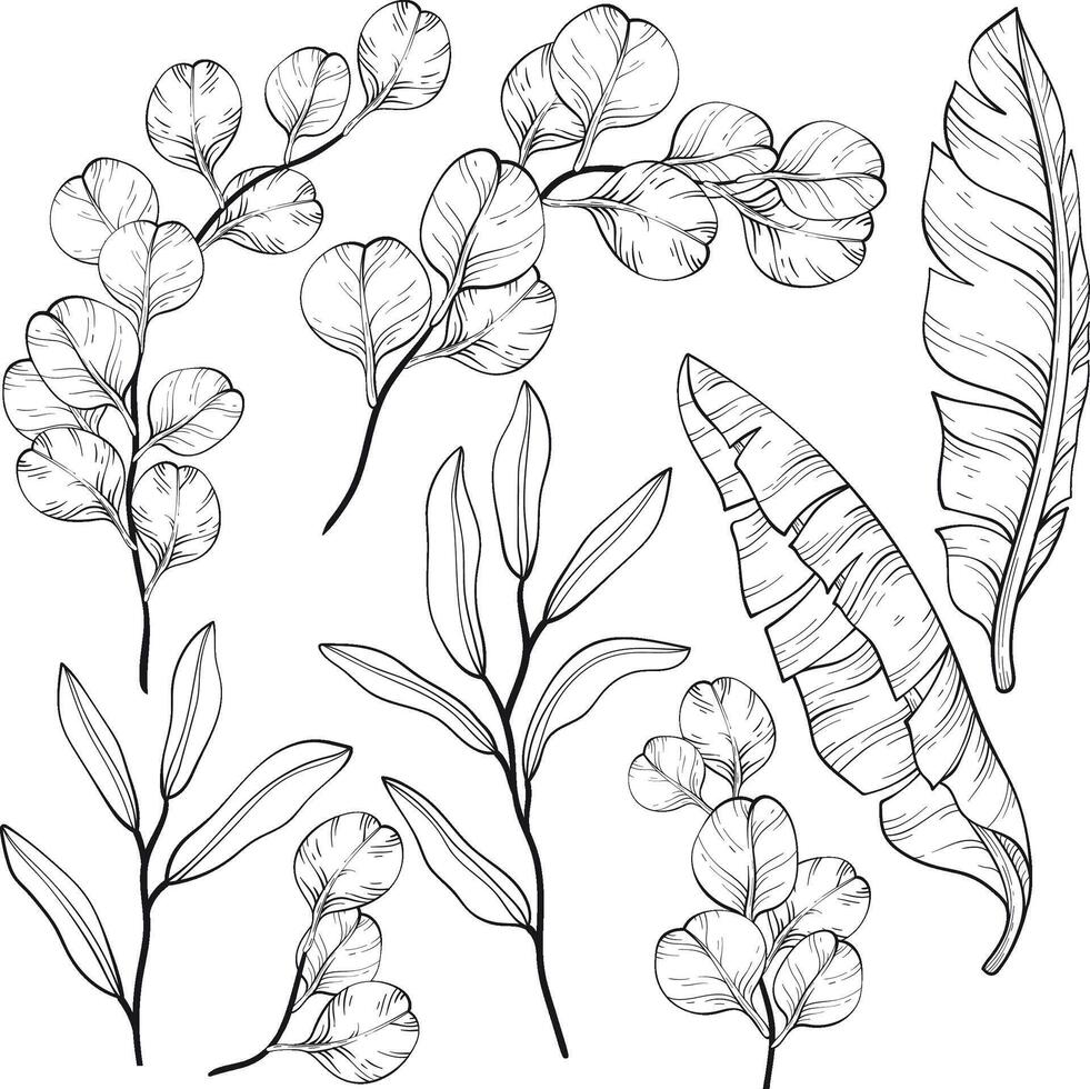 Eucalyptus and banana leaves and twigs set. Black and white. vector