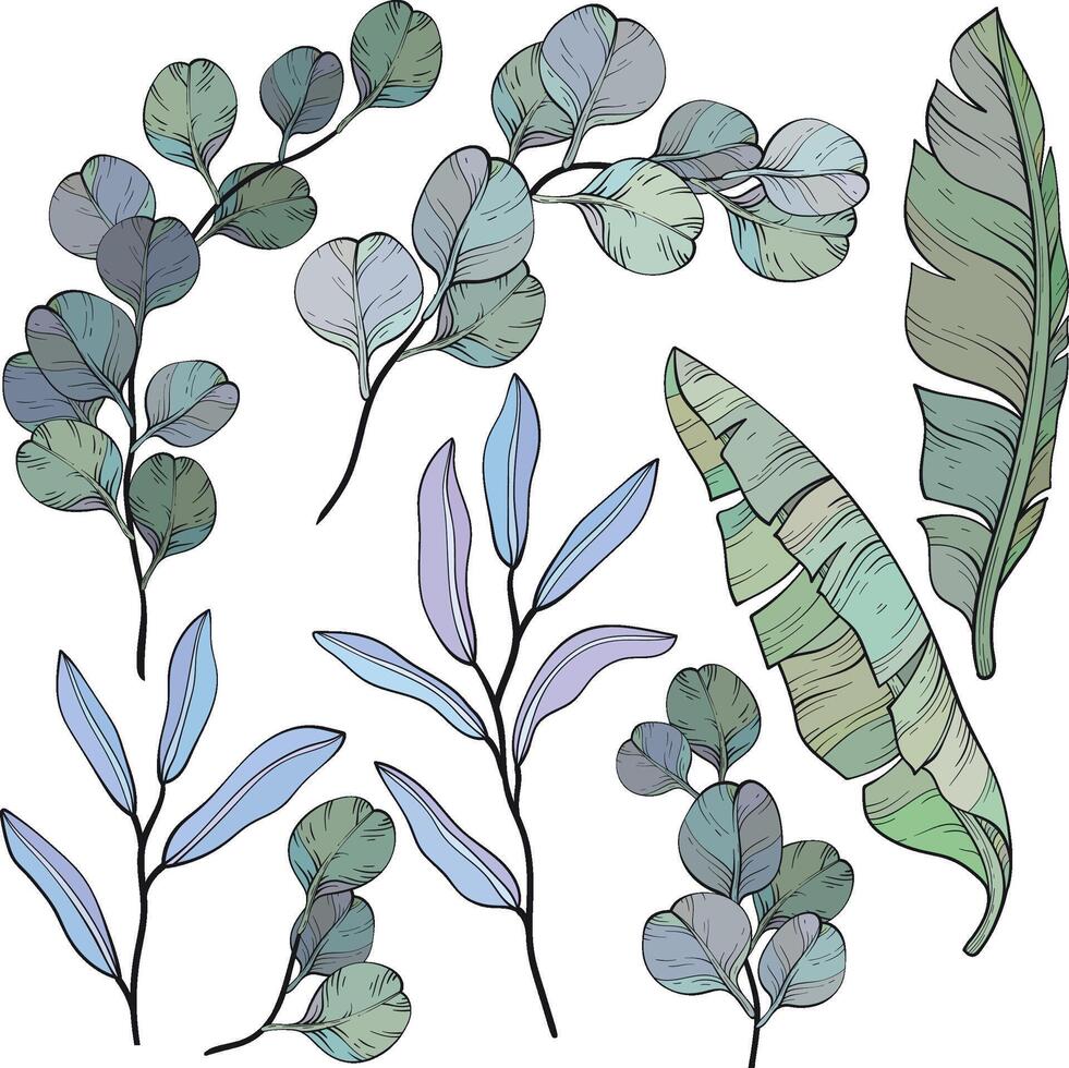 Eucalyptus and banana leaves and twigs set. vector