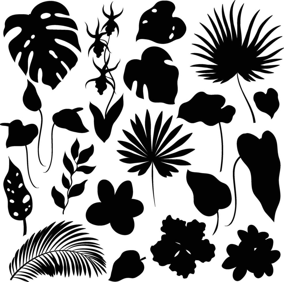 set of tropical leaves silhouettes. Palm, banana leaf, hibiscus, plumeria flowers. vector