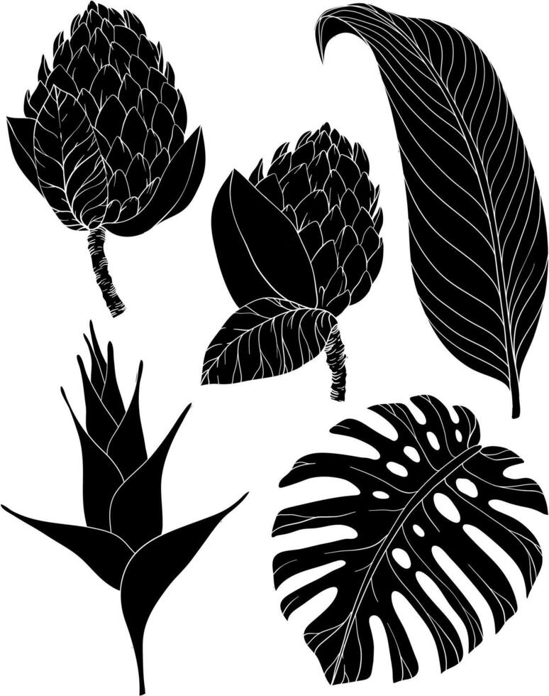 Tropical flowers and leaves silhouettes. Set of jungle leaves and exotic flowers vector