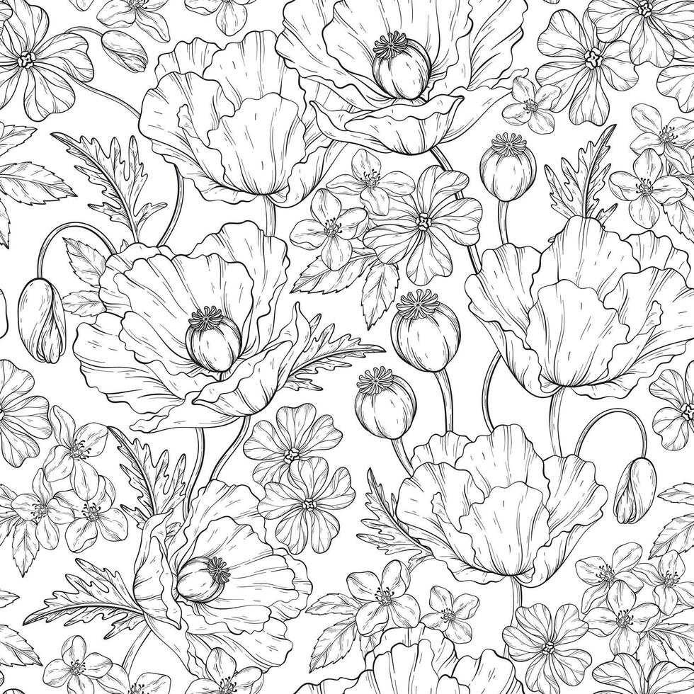 Bright summer seamless outline pattern with poppy flowers, leaves, poppy seed pods and small wild flowers. vector