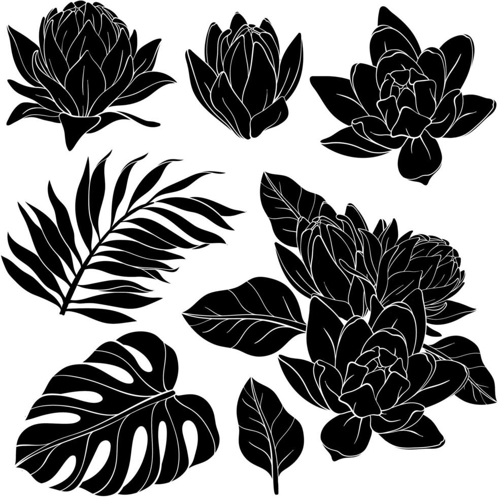 Set of Lily flowers with monstera and palm leaves silhouettes. vector