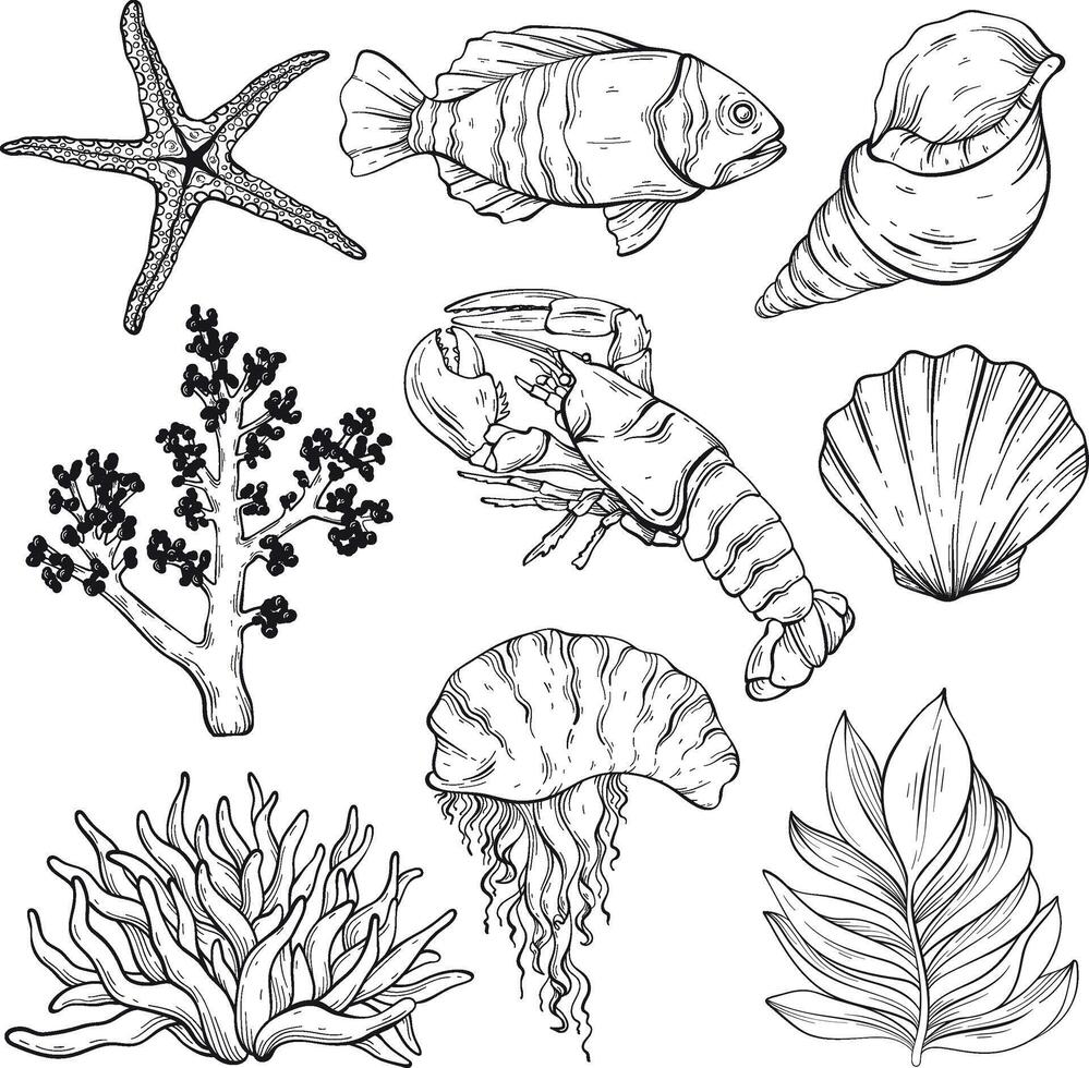outline sea creatures set. Wild life sea inhabitants vector