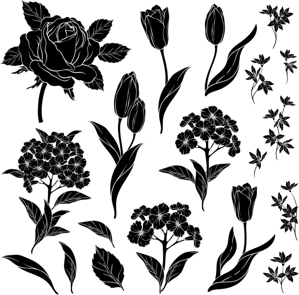 silhouettes of floral elements. Roses and tulips vector