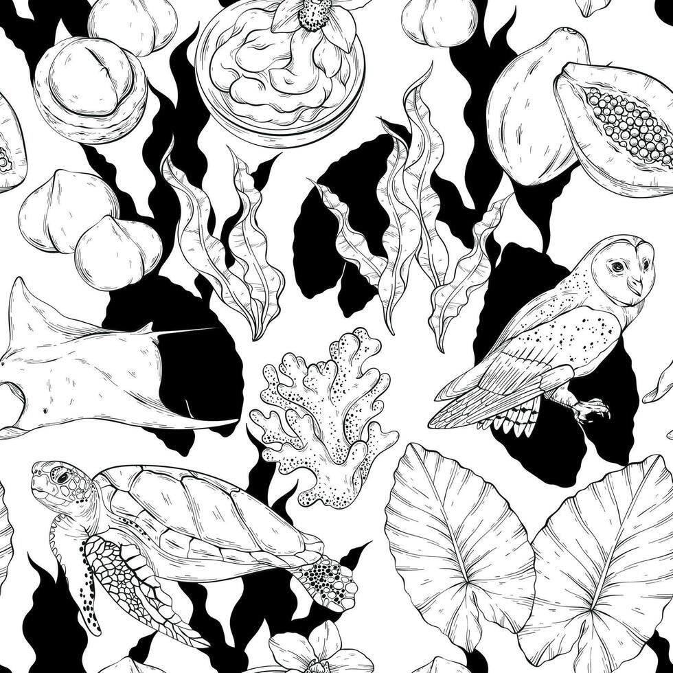Seamless pattern with Tropical elements, black and white. Hawaii, beach and summer related items. Stingray, owl, turtle, seaweed, coral and papaya vector