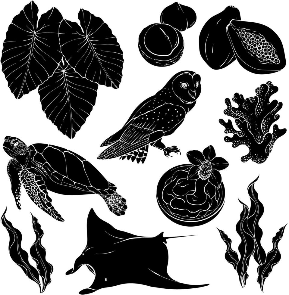 Tropical silhouette set. Hawaii, beach and summer related items. Hawaiian set, stingray, owl, turtle, seaweed, coral and papaya Design elements vector