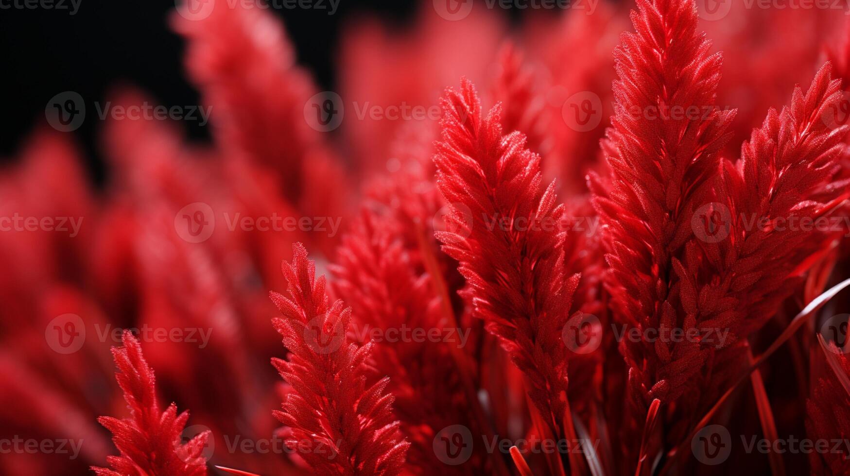 Red long grass freshness organic nature background photo