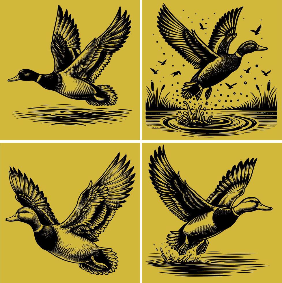 flying and landing with water droplets around it wild ducks Silhouettes set vector