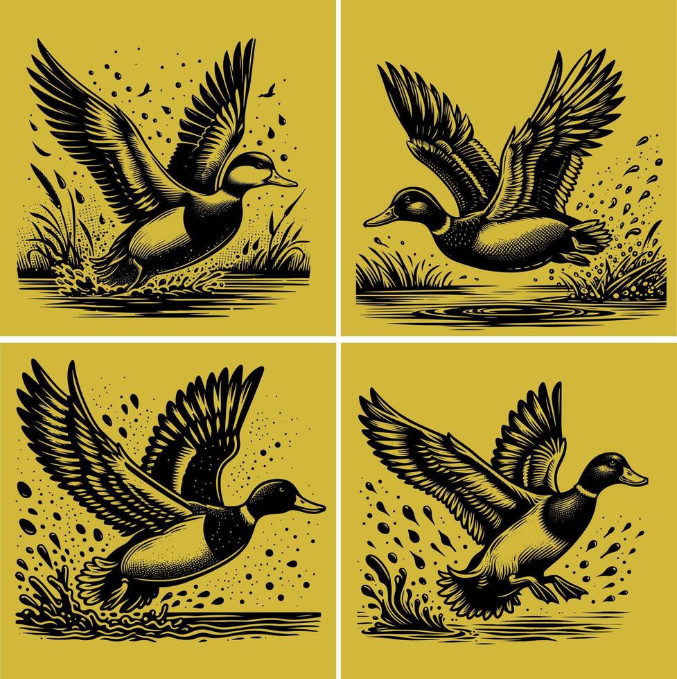 flying and landing with water droplets around it wild ducks Silhouettes set vector